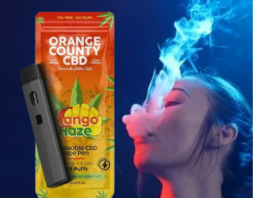 1ml Disposable CBD Vape Pen – Mango Haze (600mg) Shop Now