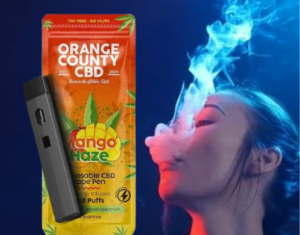 1ml Disposable CBD Vape Pen – Mango Haze (600mg) Shop Now