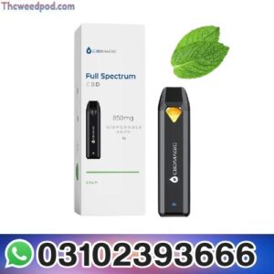 Feel CBD Full Spectrum Disposable Vape Pen Price in Pakistan