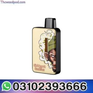 Heavy Hitter 2 Gram Disposable