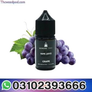 Serene Tree Delta In Pakistan