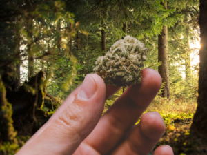 CBD E-Liquid Natural/Unflavored 1000mg (60ml)
