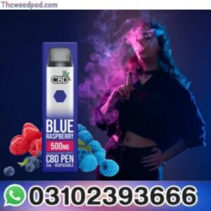 Blue Raspberry CBD Vape 500MG in Pakistan