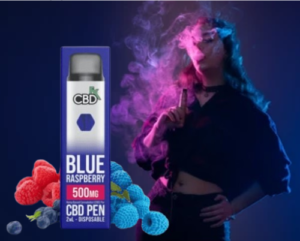 Blue Raspberry CBD Vape 500MG in Pakistan