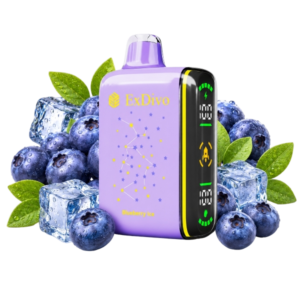 Blueberry Ice vape Best Price in Pakistan
